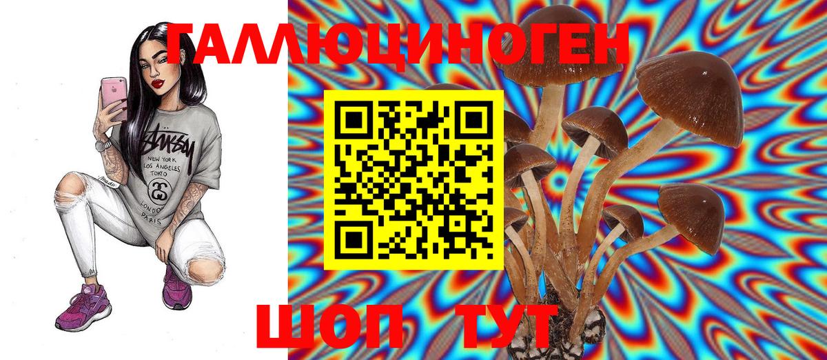Людиново  Галлюциногенные грибы мицелий  Вход с VPN 